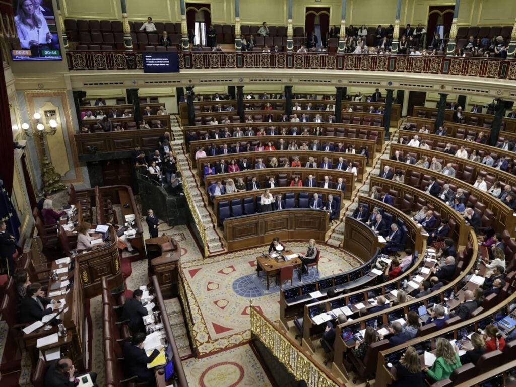 sesión de control 29 de abril Congreso
