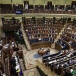 sesión de control 29 de abril Congreso