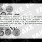 hantavirus nuevo virus