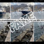 Ratas crucero Canarias