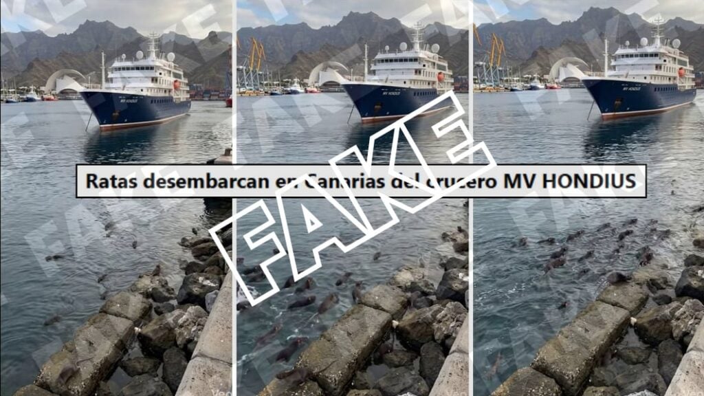 Ratas crucero Canarias