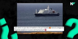 obligación españa hantavirus