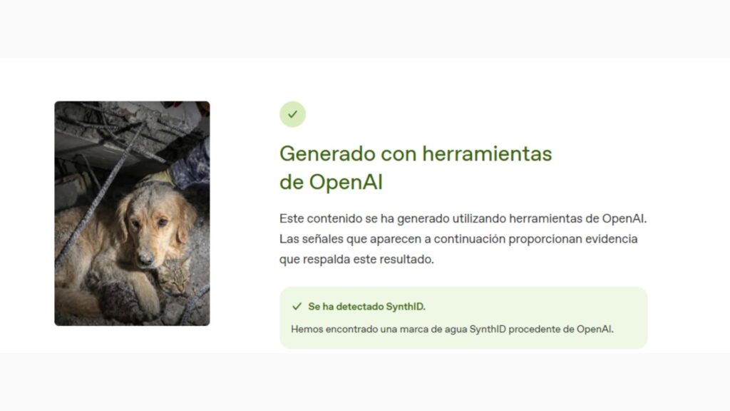 perro gato escombros venezuela